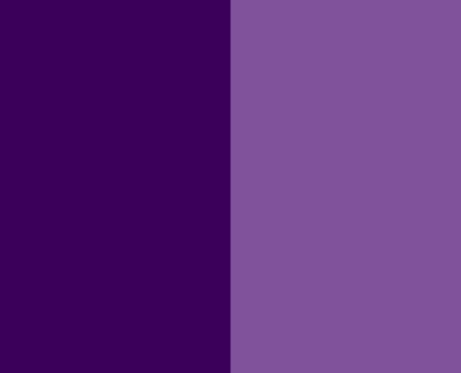 Chameleon Dark Violet